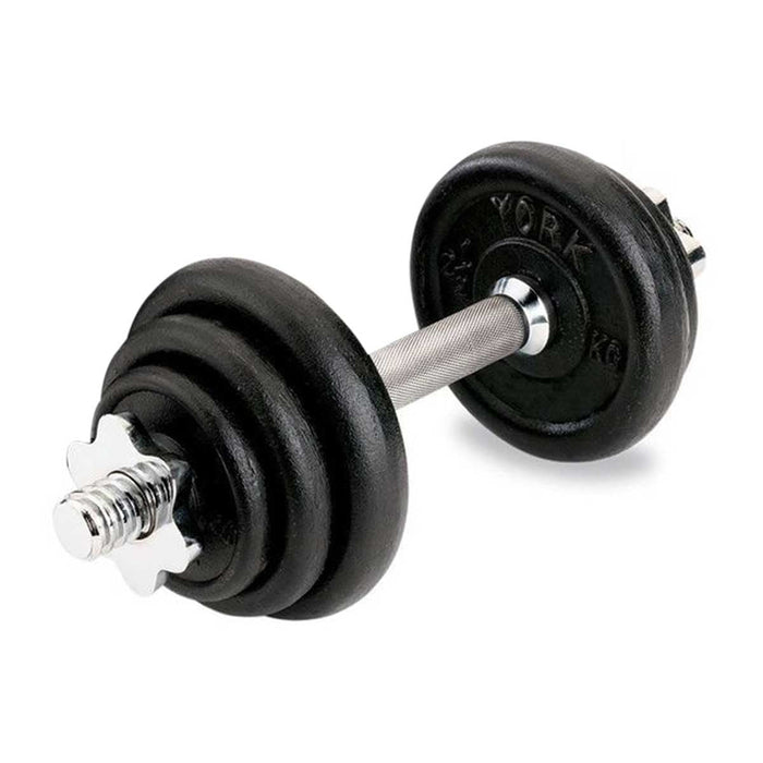 Black Painted Dumbbell 1 Piece Set (10 kg)