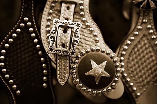 Cowboy Bling3