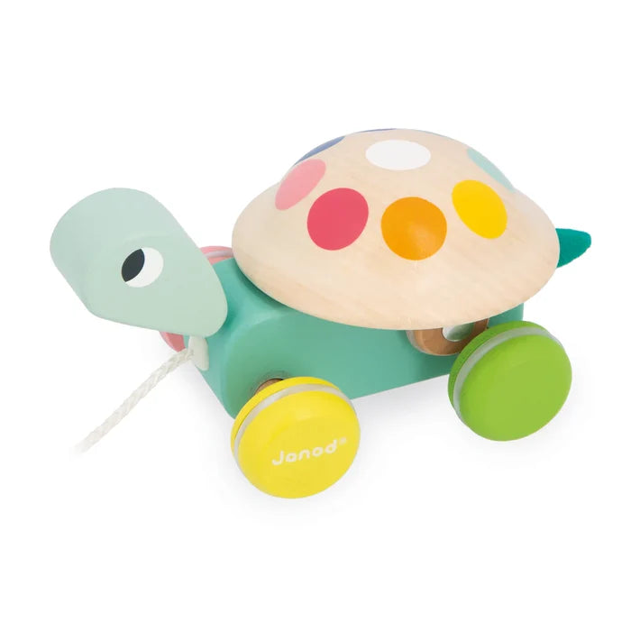 Janod Zigolos Pull-along - Turtle