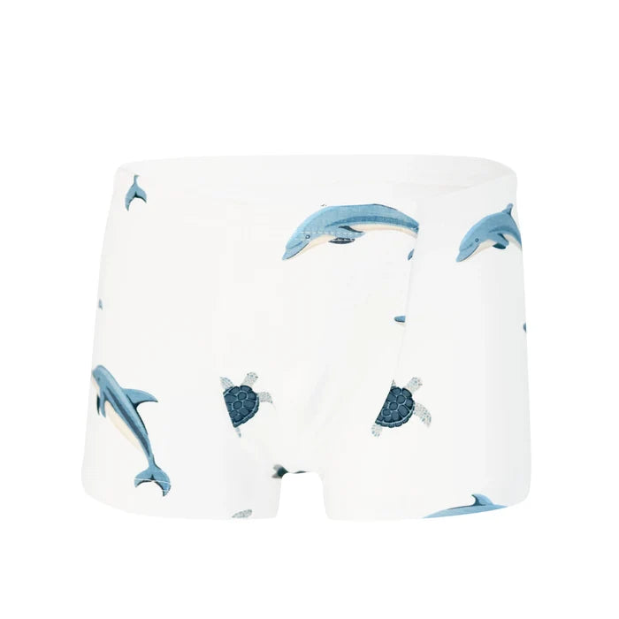 Kyte Baby Toddler Briefs - Dolphin