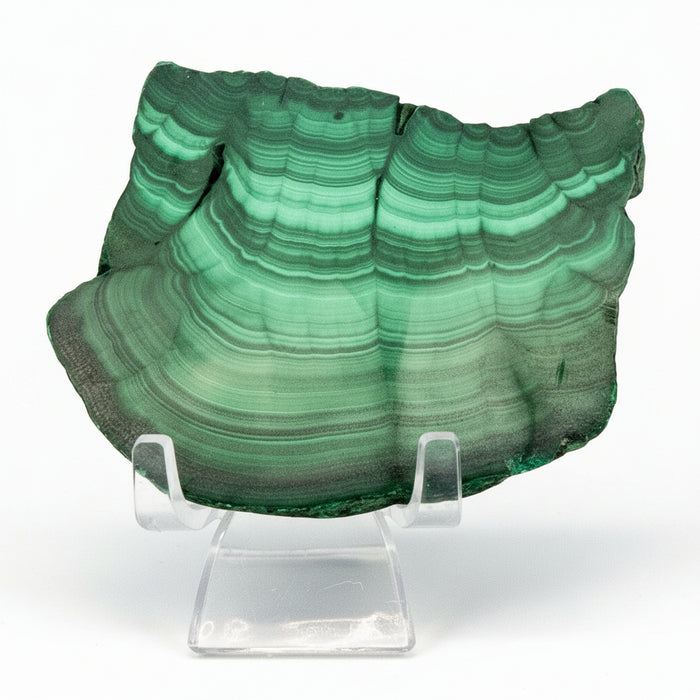 Malachite / 74g - 2.75"L x 2.00"W