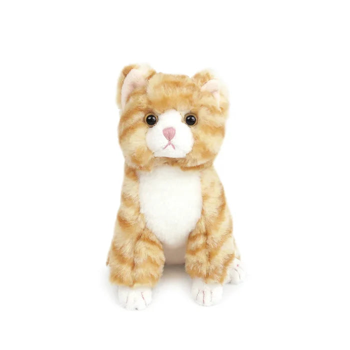 Mon Ami Chichi Kitty