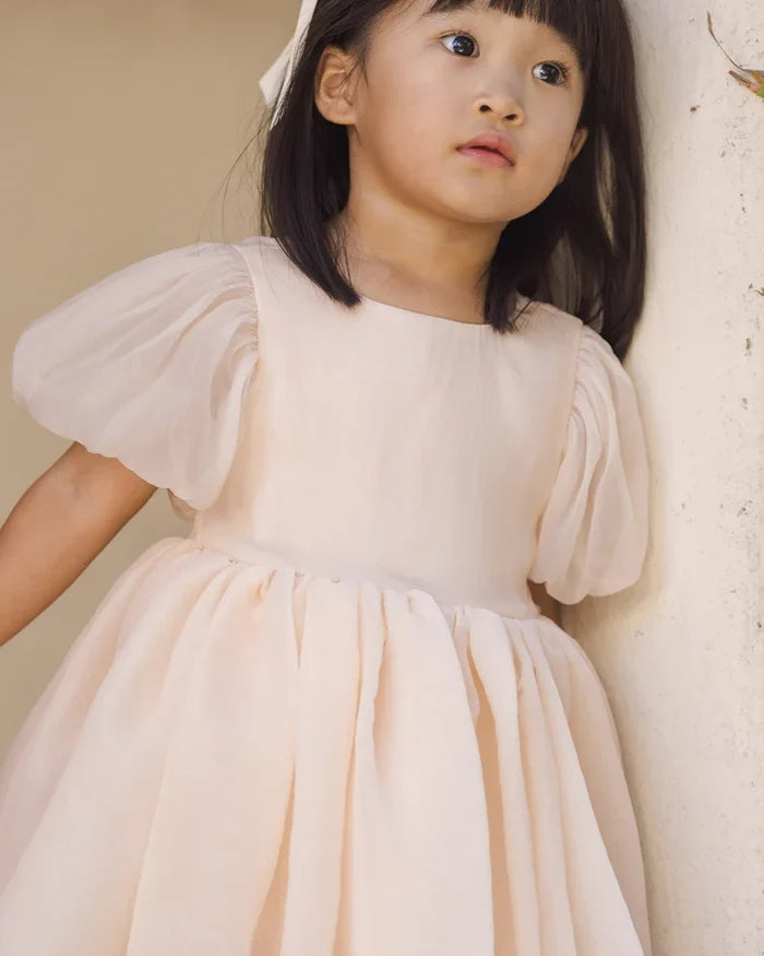 Noralee Sofia Dress - Blush