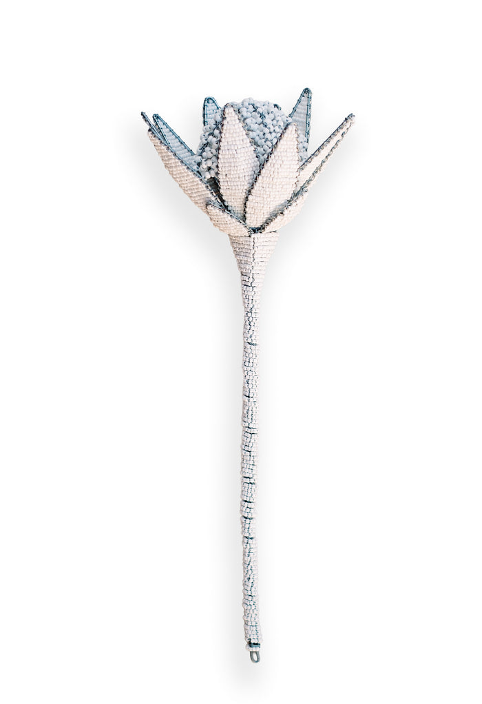 White Beaded Protea Flower