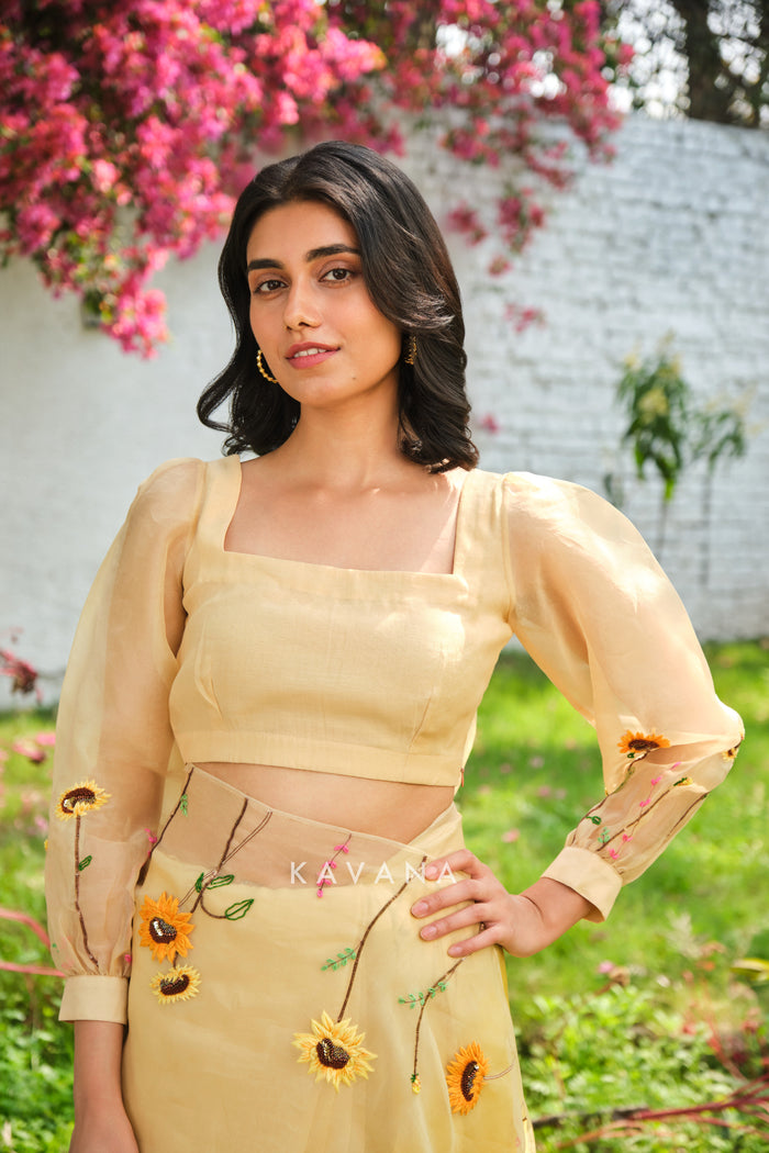 Aamras blouse