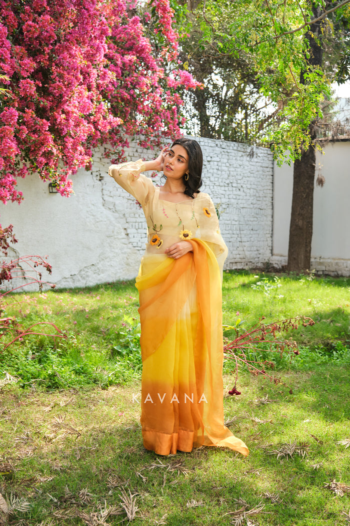 Aamras sari