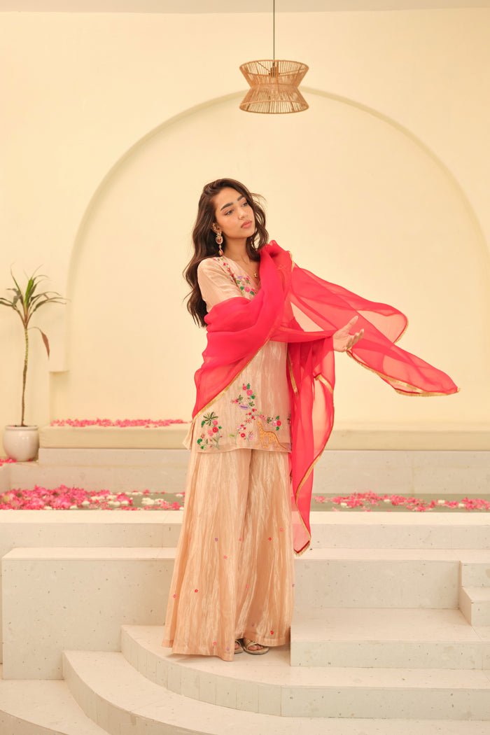 Aarohi Silk Organza Dupatta
