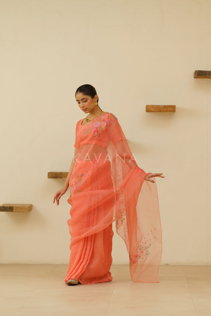 Bani Organza Linen Sari