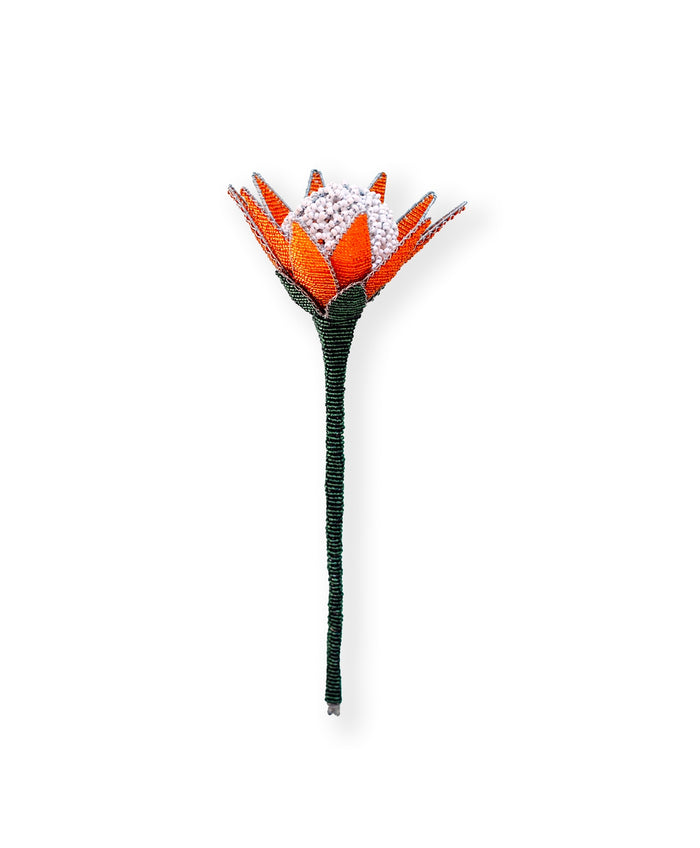Beaded Protea Flower in Red & Orange