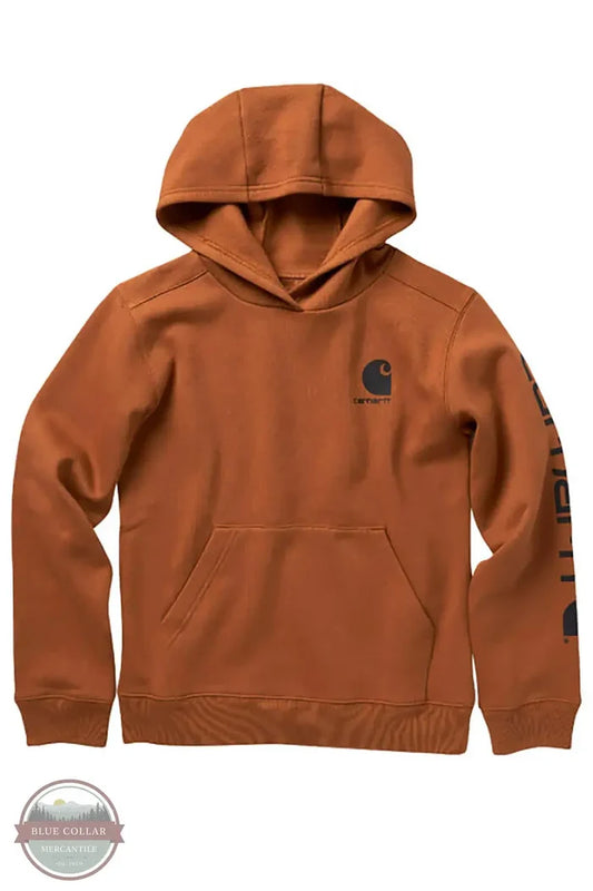 Carhartt CA6272 Sleeve Logo Hoody in brown, front