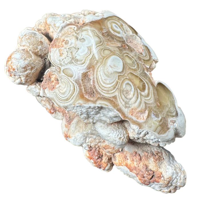 onyx stalactite stone with intricate patterns