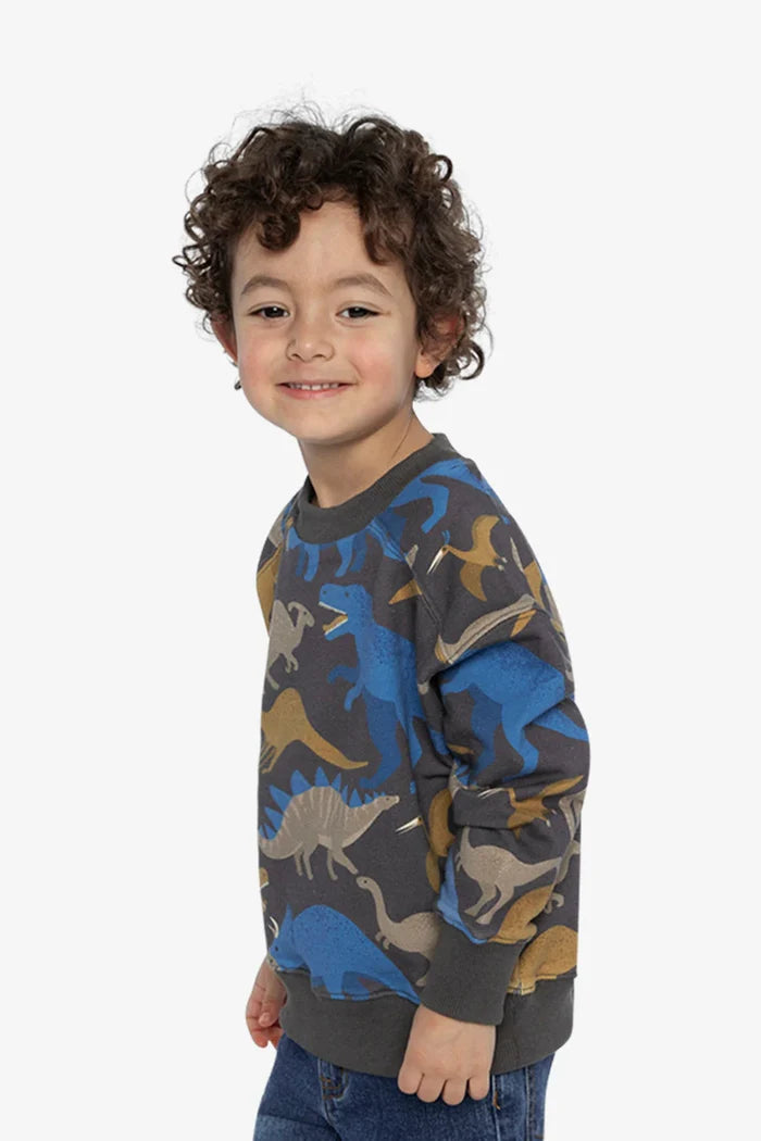 Deux Par Deux Fleece Sweatshirt - Grey Dinosaur Print