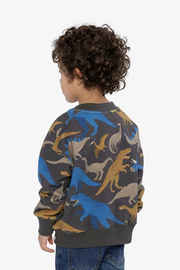 Deux Par Deux Fleece Sweatshirt - Grey Dinosaur Print