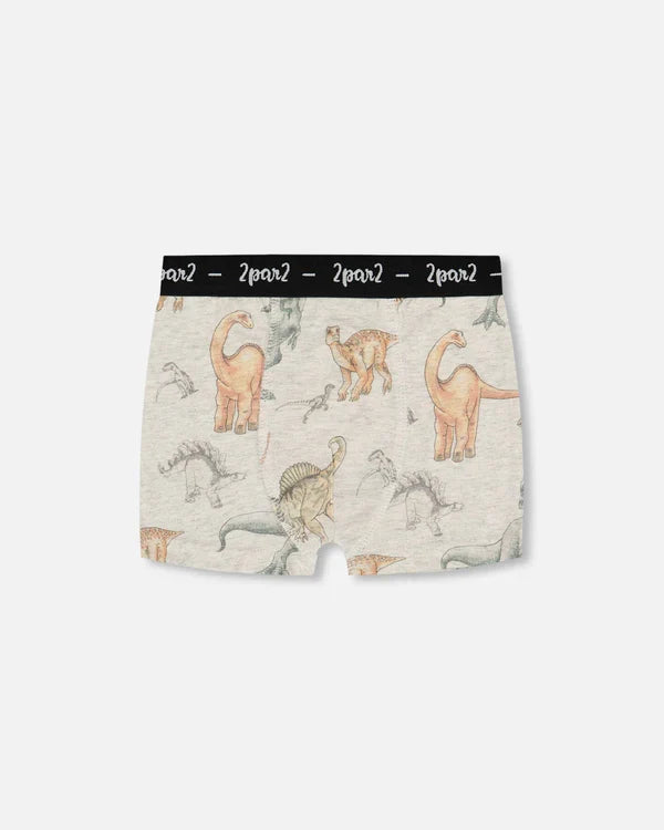 Deux Par Deux Organic Cotton Boxer Shorts - Dinosaur On Mottled And Tan Background