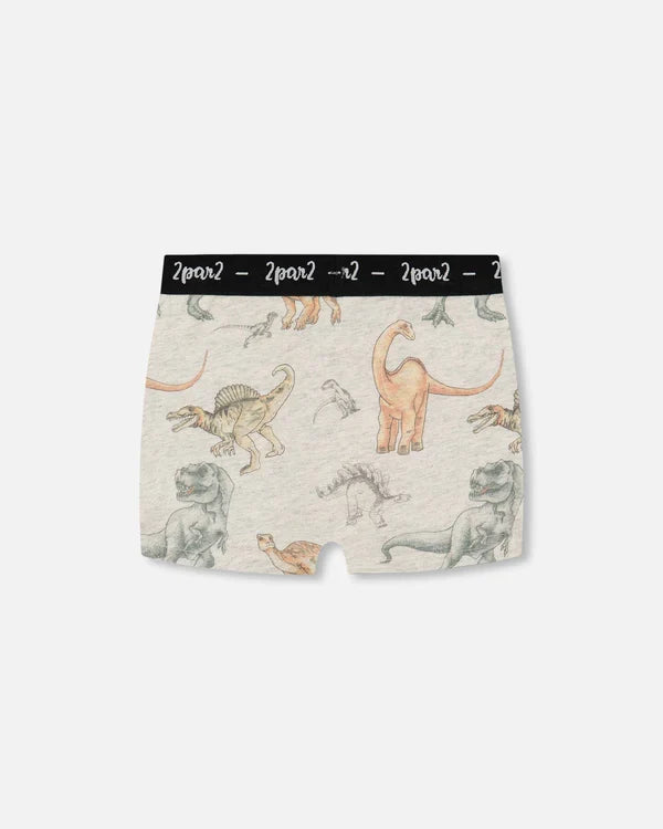 Deux Par Deux Organic Cotton Boxer Shorts - Dinosaur On Mottled And Tan Background