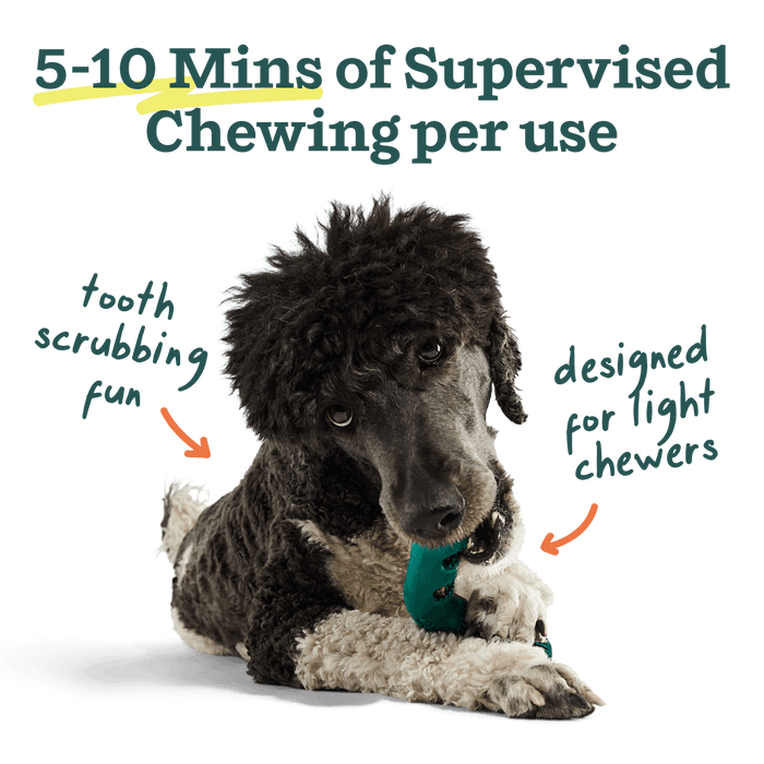 Dog Dental Chews Refills - Woof Bite N' Brush Refills