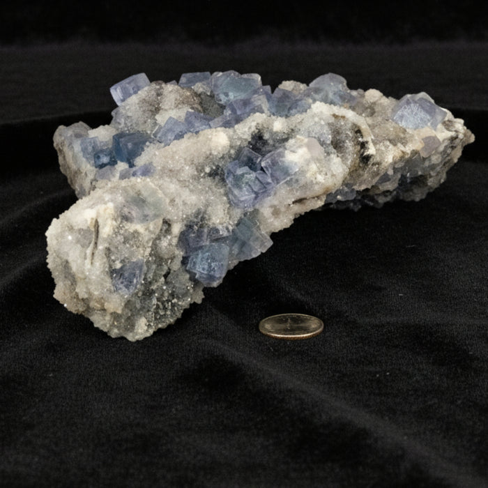 Fluorite Cluster Blue Cube Tranquility Crystal XXL 10.5 Inch