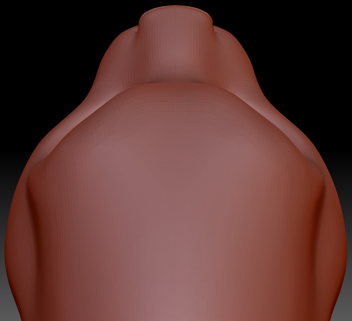 Gender Neutral Somali Cat Static Jaw Head Base Variant 1