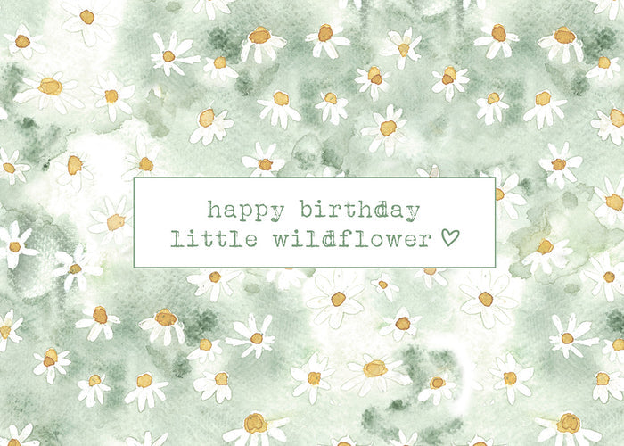 Greeting Cards - Marguerite/Happy Birthday Little Wildflower