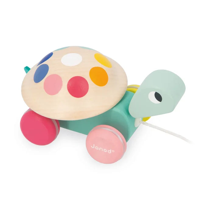 Janod Zigolos Pull-along - Turtle