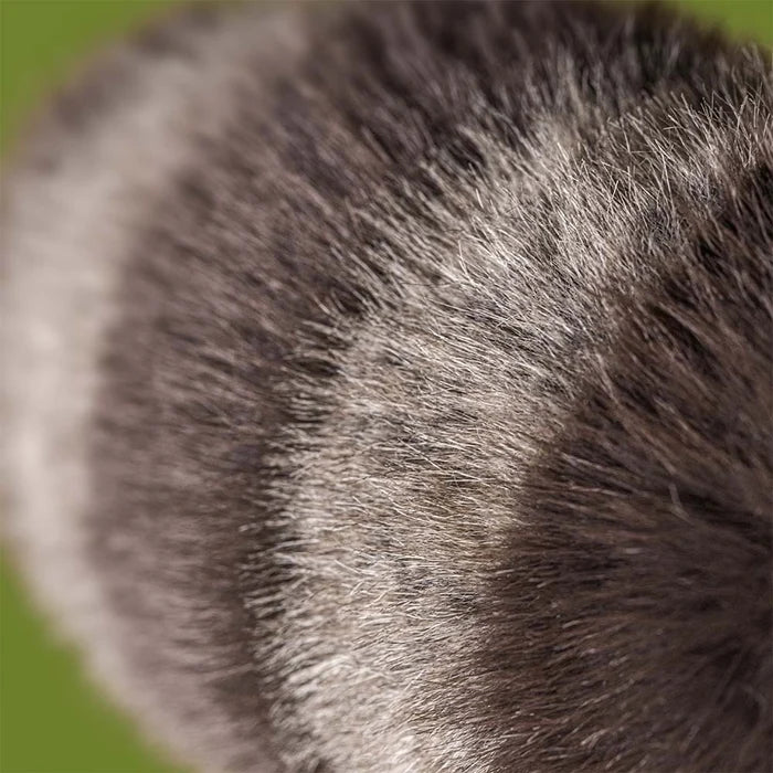 Jellycat Trixiwoo Raccoon