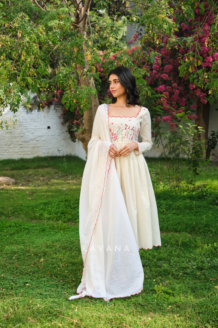 Kulfi kurta set