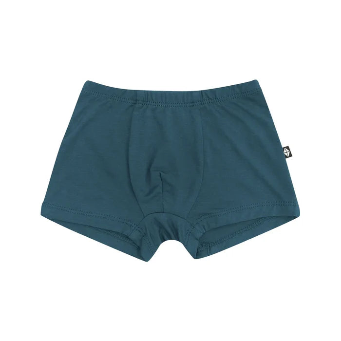Kyte Baby Toddler Briefs - Atlantic