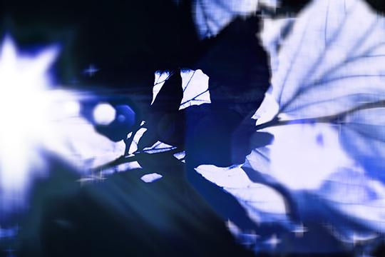 Light Travel