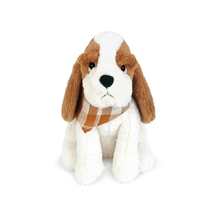 Mon Ami - Copper Bassett Hound