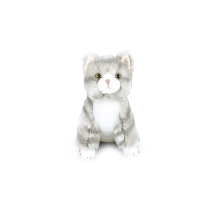 Mon Ami Cassie Kitty - Gray