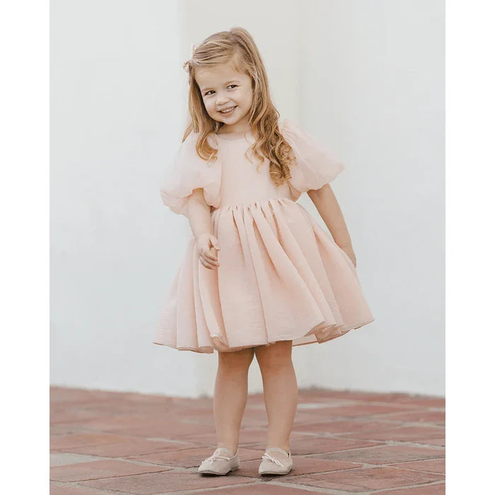 Noralee Sofia Dress - Apricot Blush