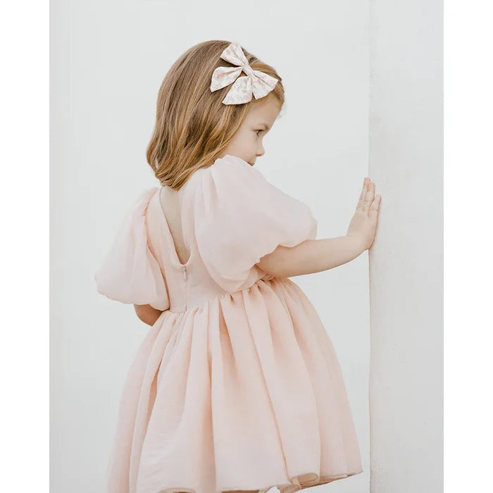 Noralee Sofia Dress - Apricot Blush