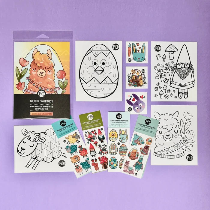 Pico Surprise Kits