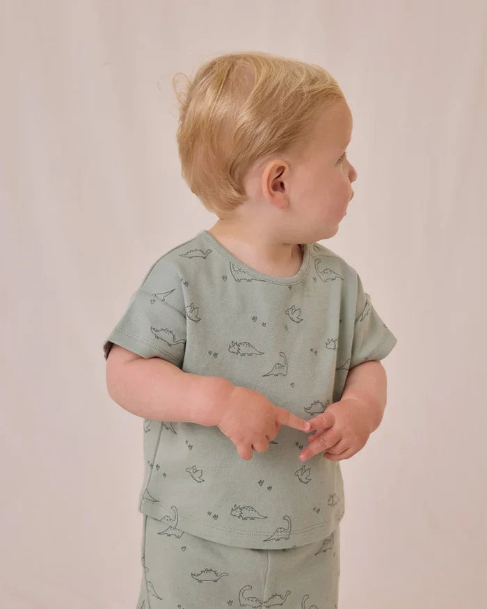 Quincy Mae Jersey Tee & Pants Set - Dino