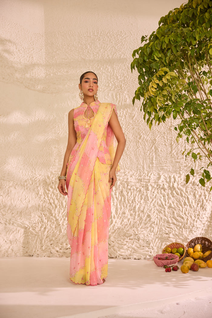 Ras Bhari Chanderi Sari