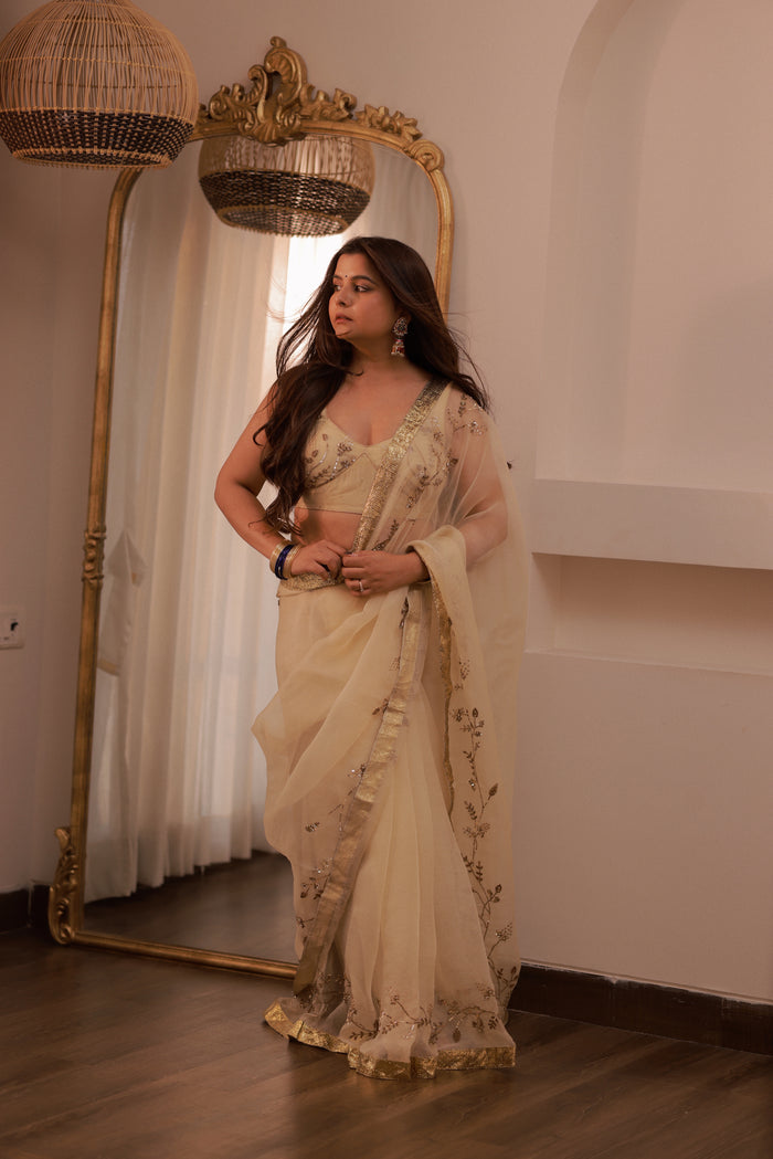 Ruhani Silk Organza Sari