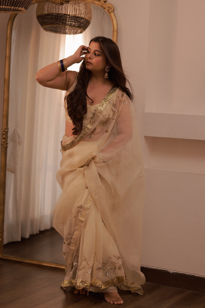 Ruhani Silk Organza Sari