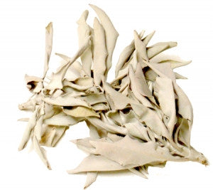 Sage Leaves Clusters