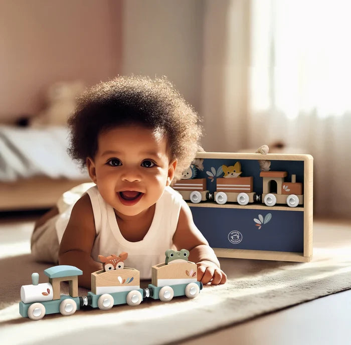 Speedy Monkey Train Set Display Case