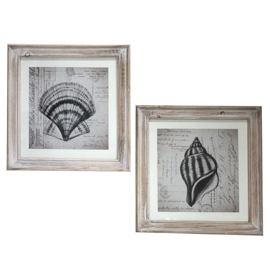 Urban Designs Coastal Collection 2-Piece Sea Shells Square Framed Wall Art