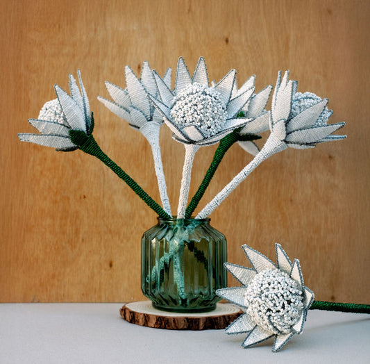 White Beaded Protea Flower