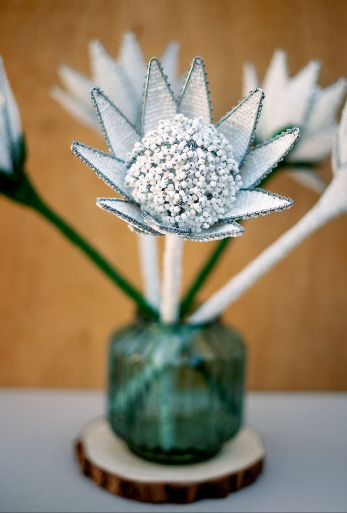 White Beaded Protea Flower