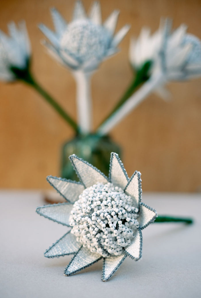 White Beaded Protea Flower