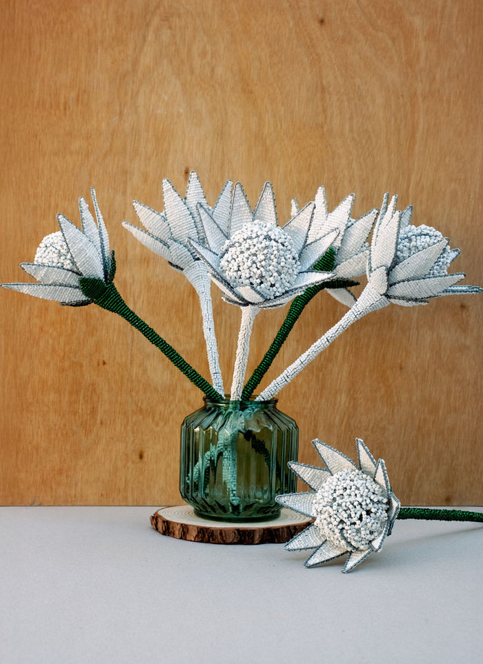 White Beaded Protea Flower