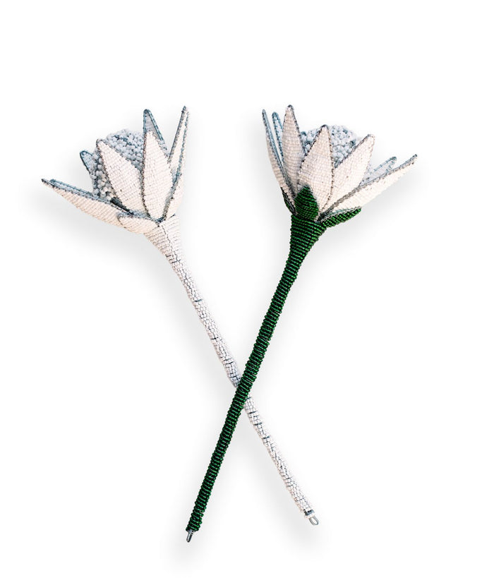 White Beaded Protea Flower